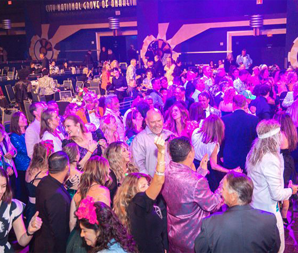 people enjoying a party